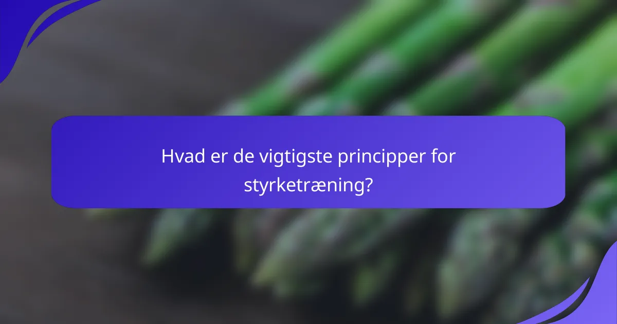 Hvad er de vigtigste principper for styrketræning?